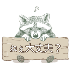 ラブリーなアライグマ