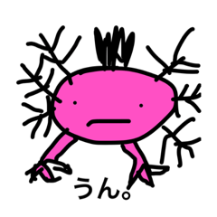 ただのウーパールーパー