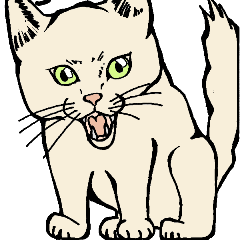 真っ白猫の小雪さん