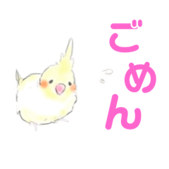 オカメインコちゃんたち