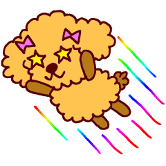 トイプードルのトイ・プープー