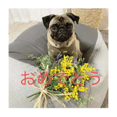 春の挨拶、卒業、進級、入学