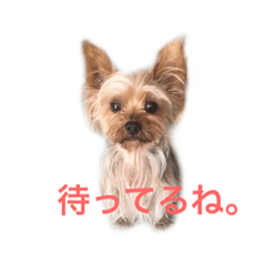 セーちゃん&ティンク