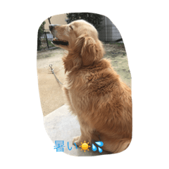 のんびりできる