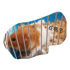 lydia_20210417155615