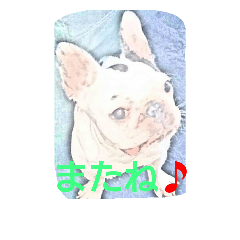 フレブル プリコさん