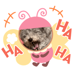 田舎の銀さんスタンプ