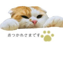 ねこさんずすたんぷ