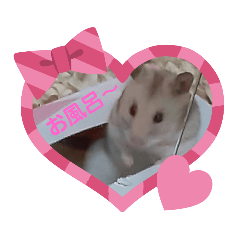 動物たちのスタンプ Ｖｅｒ．2