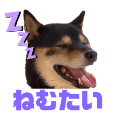 私の推し(日常)