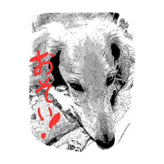 なにげない日常