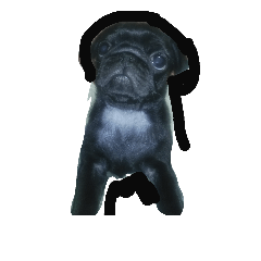 ミツゴロウ王国