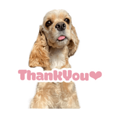 元気なここはちゃんの日常使えるスタンプ