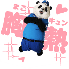 動く！まごころパンダ君＜公式＞