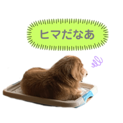 はるおくんの日常スタンプ