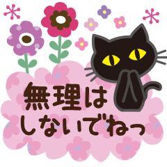 黒ねこ×気づかい(北欧風)