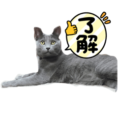 サラちゃんとレオンくん