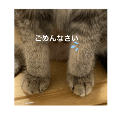 むぎの成長日記