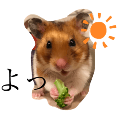 ハムみーちゃん半年記念スタンプ