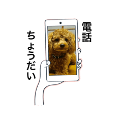 しゅうの毎日♡3