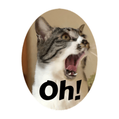 保護猫スタンプさん