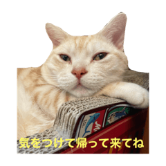 ニャンズの使えるスタンプPart,2