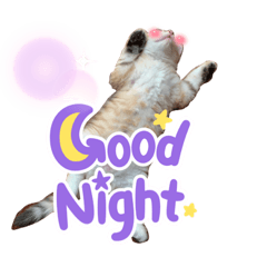 モフにゃんのスタンプ