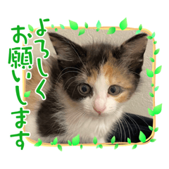 ヤンチャなラブ❤️ちゃん