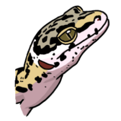 我が家の爬虫類ズ