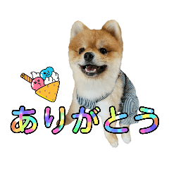 KOCHAMARU&Happiness&龍之介