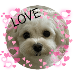 まるぷー　くるみん2