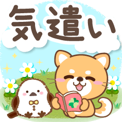 大人のための柴犬♪優しい気遣いスタンプ２