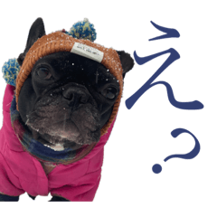 ペコと時々官兵衛&虎徹