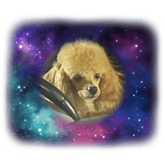 犬と夢スタンプ