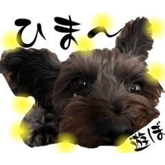 お茶目なgigiさん ④