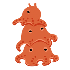 メンダコと仲間たち