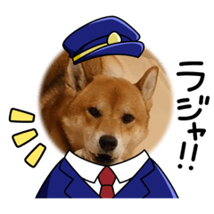 犬の日常スタンプ！