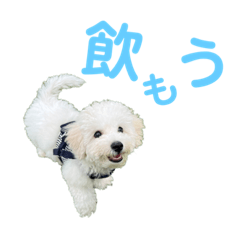 丸の内のバブちゃん