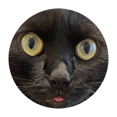 オレきゅんスタンプ