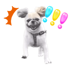 イズとシェリーちゃんとパピオいるよ.no.3