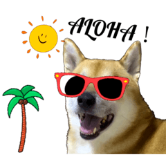 犬のくしゅくんとリスのぐみちゃん　旅編