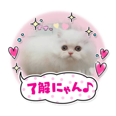 てん君のスタンプVol.1