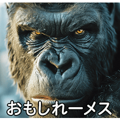 リアル イケメンゴリラ