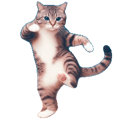 無言のかわいい猫たち