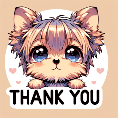 ヨーキーの感情