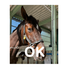 クラッキースタンプ(前作セット)