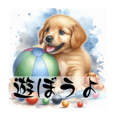 色んな子犬