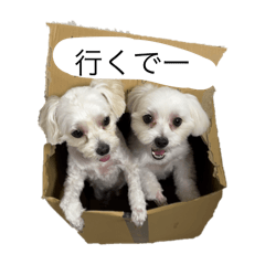 犬　日常に使えるスタンプ