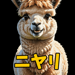 ほんとに君はアルパカなのか？！