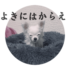 メルち〜スタンプ